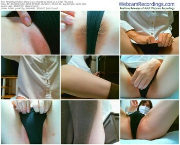 stripchat-yo_chandesu-11-15-2023-01-17-51