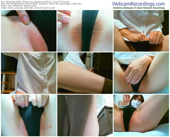 stripchat-yo_chandesu-11-15-2023-01-17-51