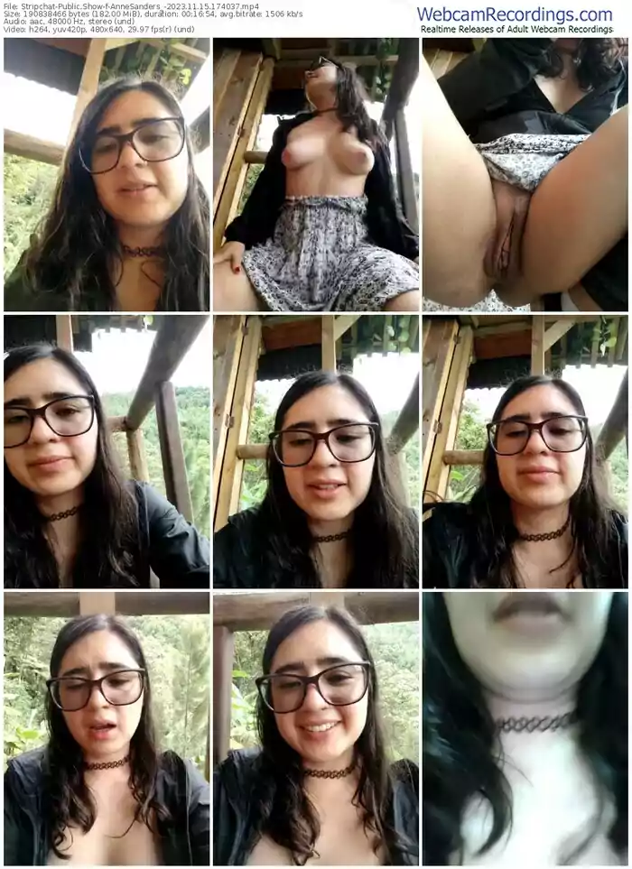 stripchat-annesanders_-11-15-2023-17-40-37