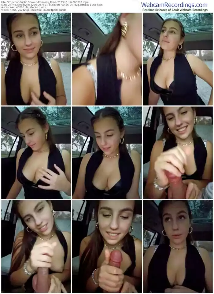 stripchat-princess_afina-11-16-2023-00-02-37