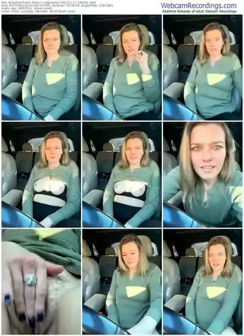 stripchat-ladylena1-11-17-2023-18-26-01