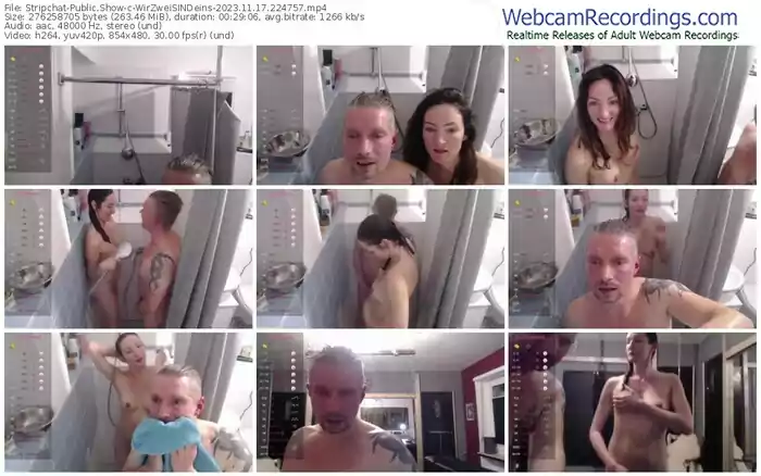 stripchat-wirzweisindeins-11-17-2023-22-47-57