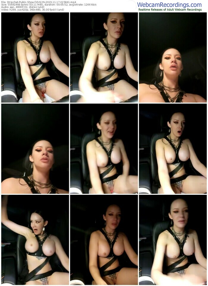 stripchat-evilyn-11-17-2023-01-58-41
