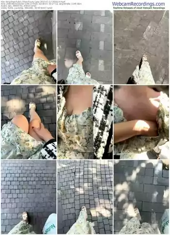 stripchat-juny-lany-11-17-2023-05-01-19