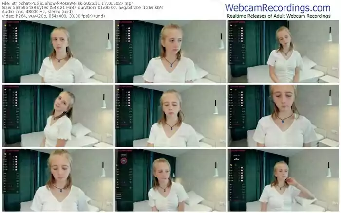 stripchat-rosewellsk-11-17-2023-01-50-27