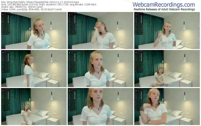 stripchat-rosewellsk-11-17-2023-22-31-34