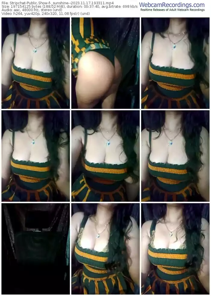stripchat-_sunshine--11-17-2023-19-33-11
