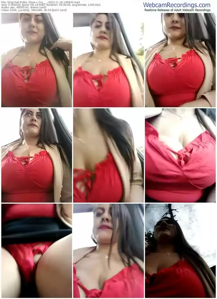 stripchat-ory___-11-18-2023-19-58-43