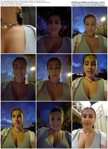 stripchat-princess_afina-11-18-2023-01-16-47