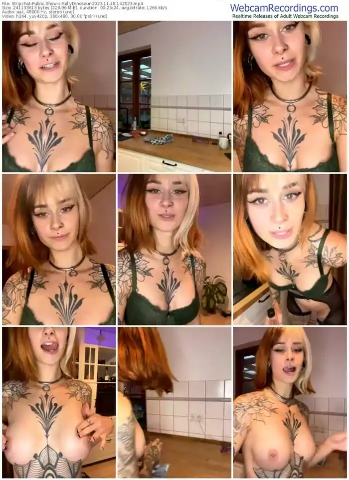 stripchat-sallydinosaur-11-18-2023-14-25-23