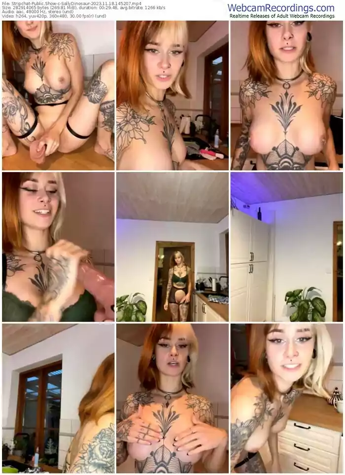 stripchat-sallydinosaur-11-18-2023-14-52-07