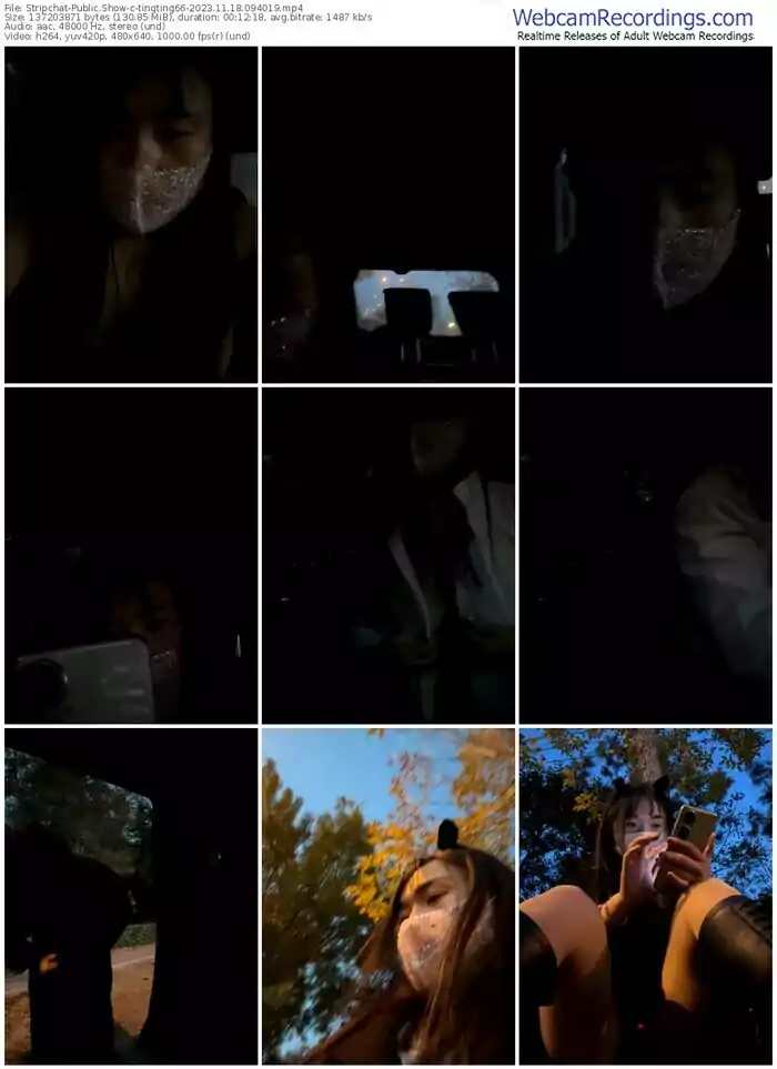 stripchat-tingting66-11-18-2023-09-40-19