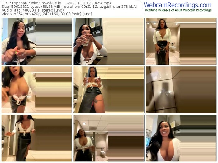 stripchat-belle___-11-18-2023-22-04-54