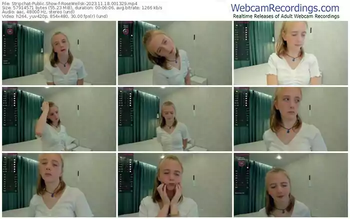 stripchat-rosewellsk-11-18-2023-00-13-29