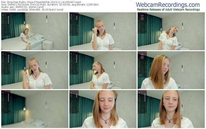 stripchat-rosewellsk-11-18-2023-00-54-47