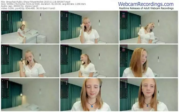 stripchat-rosewellsk-11-18-2023-00-54-47