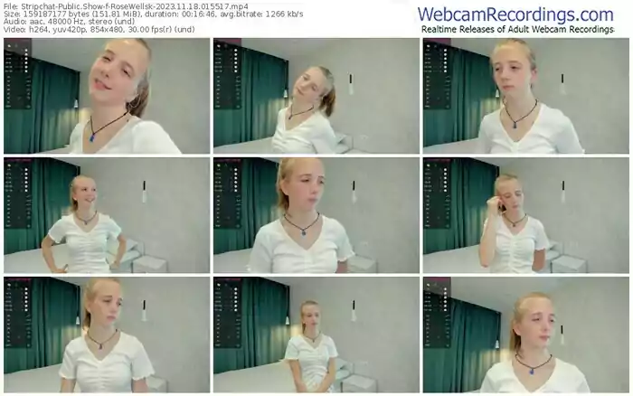 stripchat-rosewellsk-11-18-2023-01-55-17