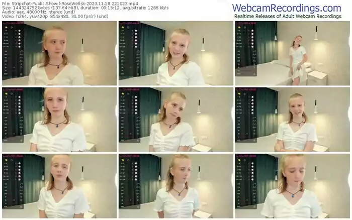 stripchat-rosewellsk-11-18-2023-22-10-23