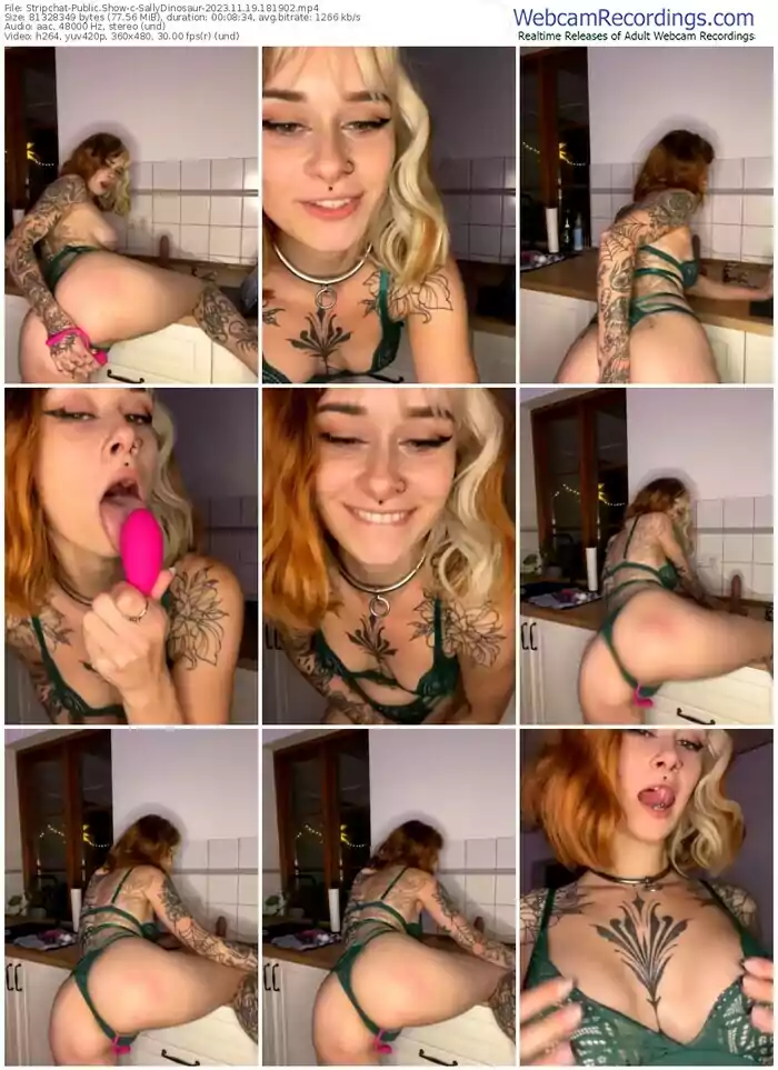 stripchat-sallydinosaur-11-19-2023-18-19-02