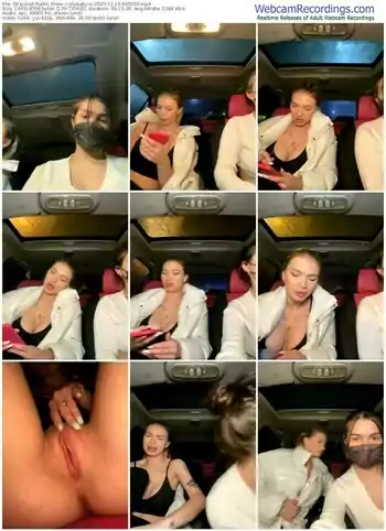 stripchat-shybabyss-11-19-2023-00-00-59