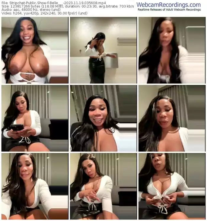 stripchat-belle___-11-19-2023-03-56-08