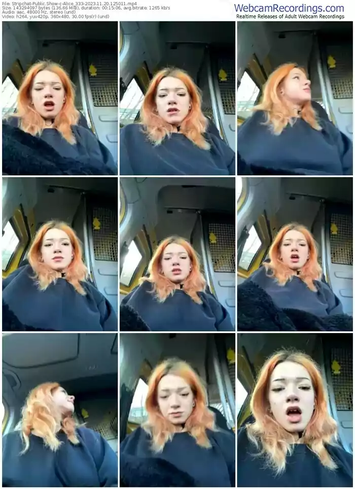 stripchat-alice_333-11-20-2023-12-50-11