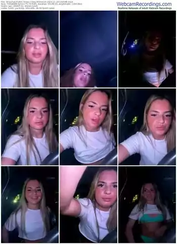 stripchat-sexywillowuk-11-20-2023-19-29-48