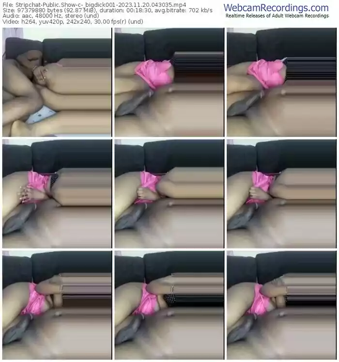 stripchat-_bigdick001-11-20-2023-04-30-35