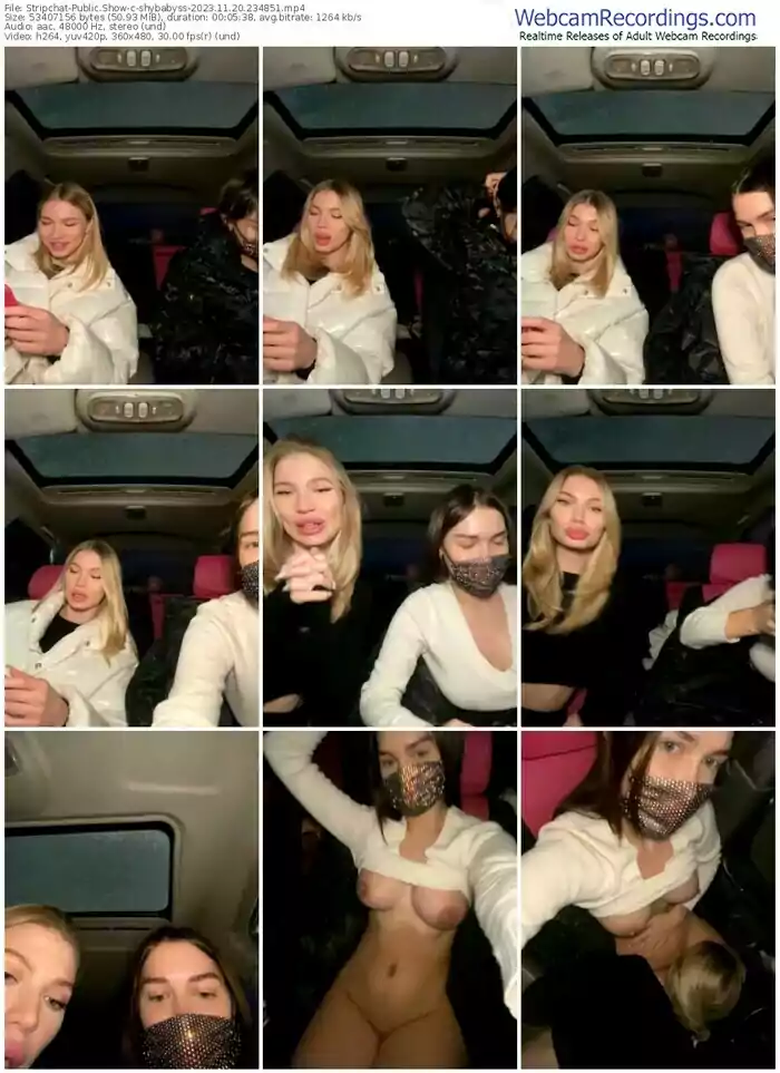 stripchat-shybabyss-11-20-2023-23-48-51
