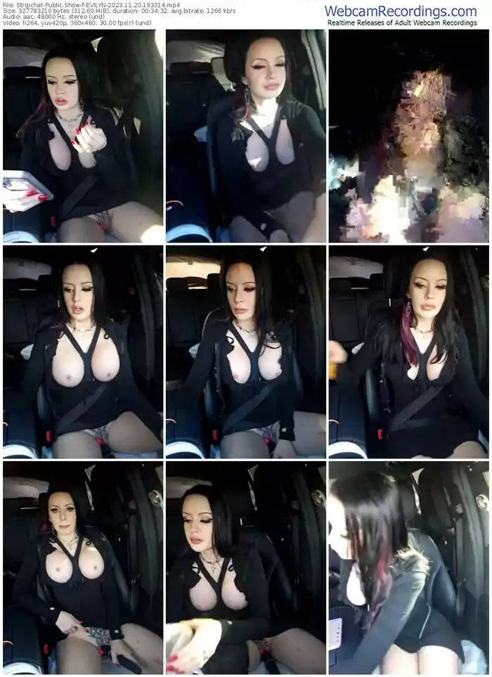 stripchat-evilyn-11-20-2023-19-33-14