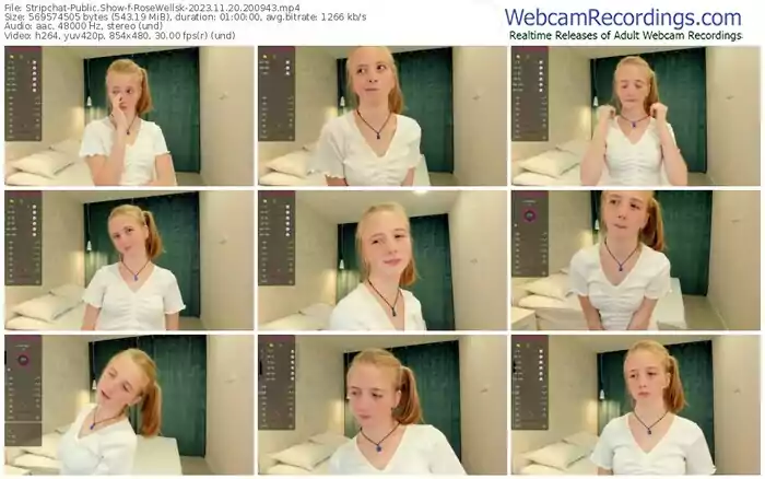 stripchat-rosewellsk-11-20-2023-20-09-43