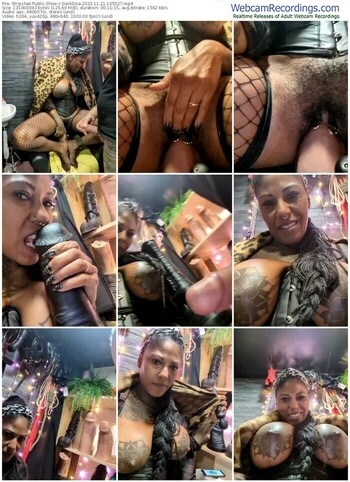 stripchat-darkdea-11-21-2023-16-55-27