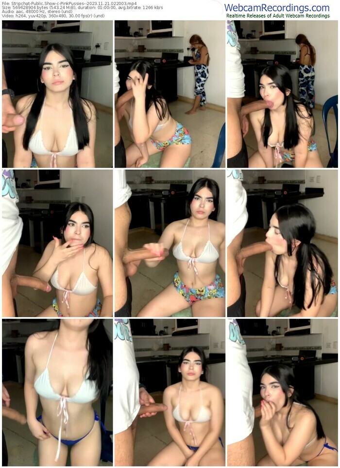 stripchat-pinkpussies--11-21-2023-02-20-03