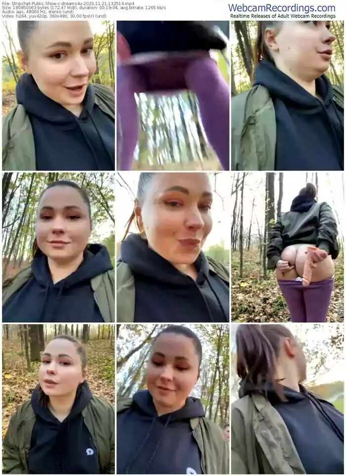 stripchat-dreams4u-11-21-2023-13-25-14