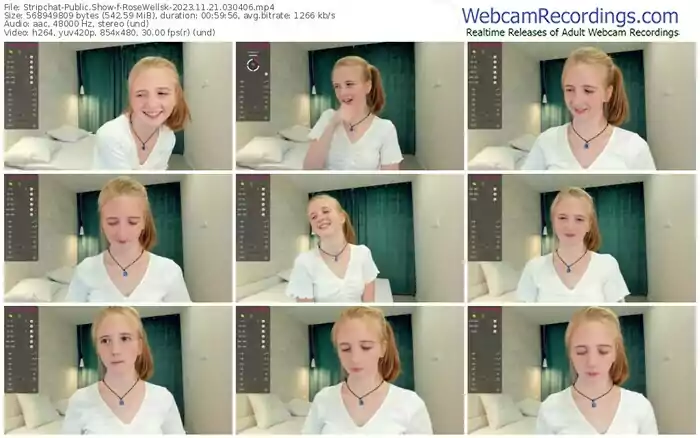 stripchat-rosewellsk-11-21-2023-03-04-06