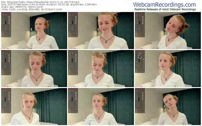 stripchat-rosewellsk-11-21-2023-20-57-18