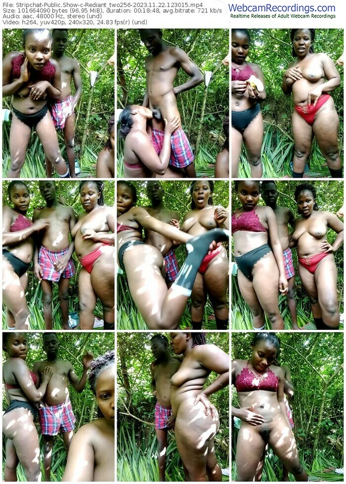 stripchat-rediant_two256-11-22-2023-12-30-15