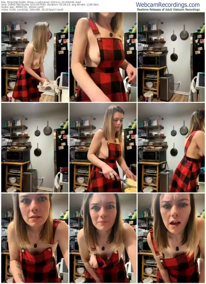 stripchat-ladylena1-11-23-2023-00-20-41