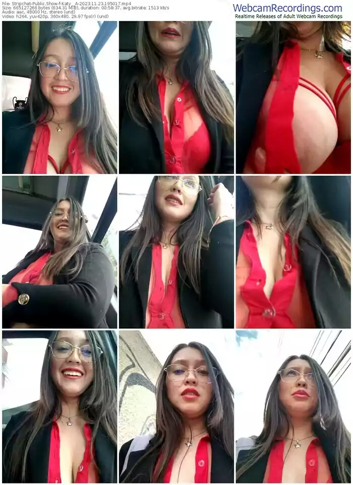 stripchat-katy__a-11-23-2023-19-50-17