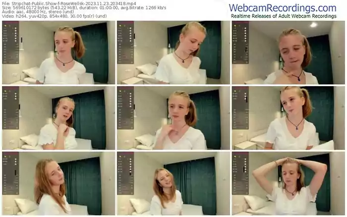 stripchat-rosewellsk-11-23-2023-20-34-18