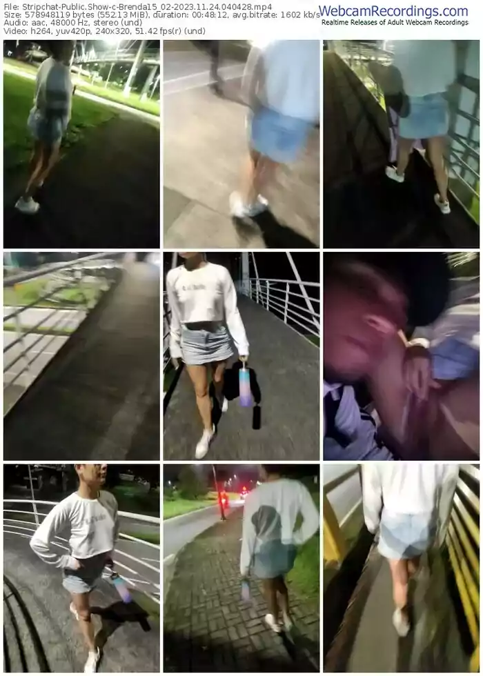 stripchat-brenda15_02-11-24-2023-04-04-28