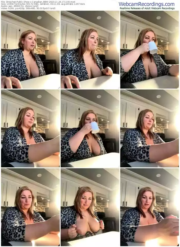 stripchat-canadian_bbw-11-24-2023-17-11-00