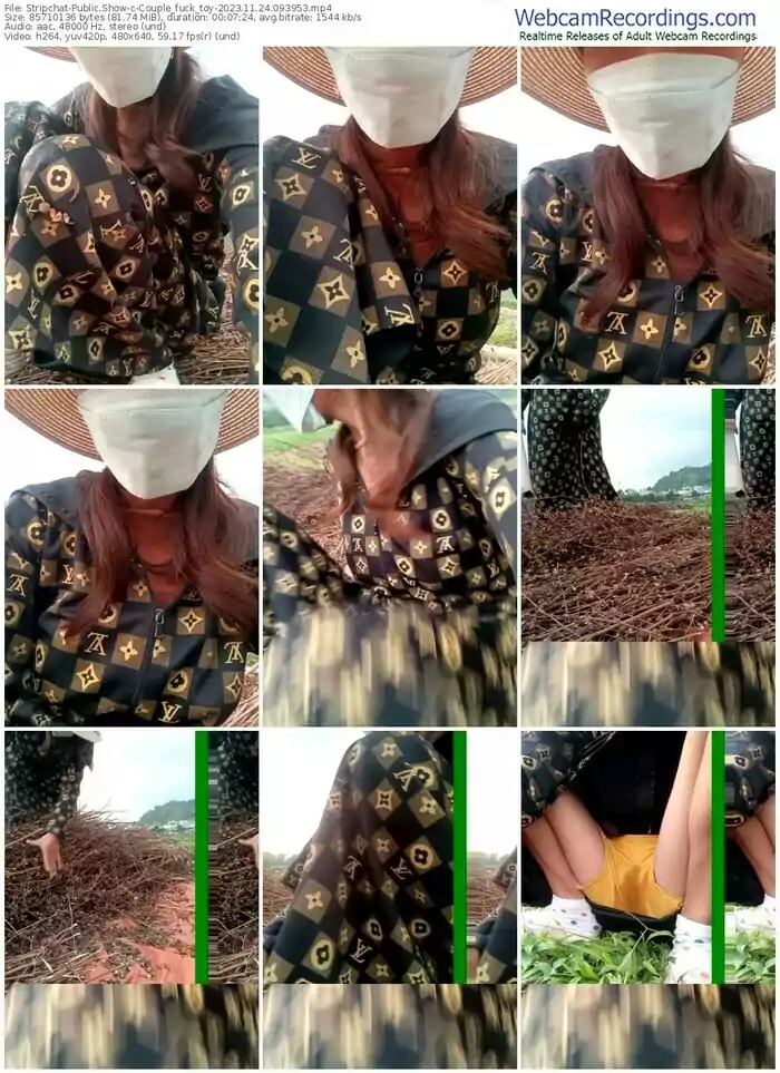 stripchat-couple_fuck_toy-11-24-2023-09-39-53