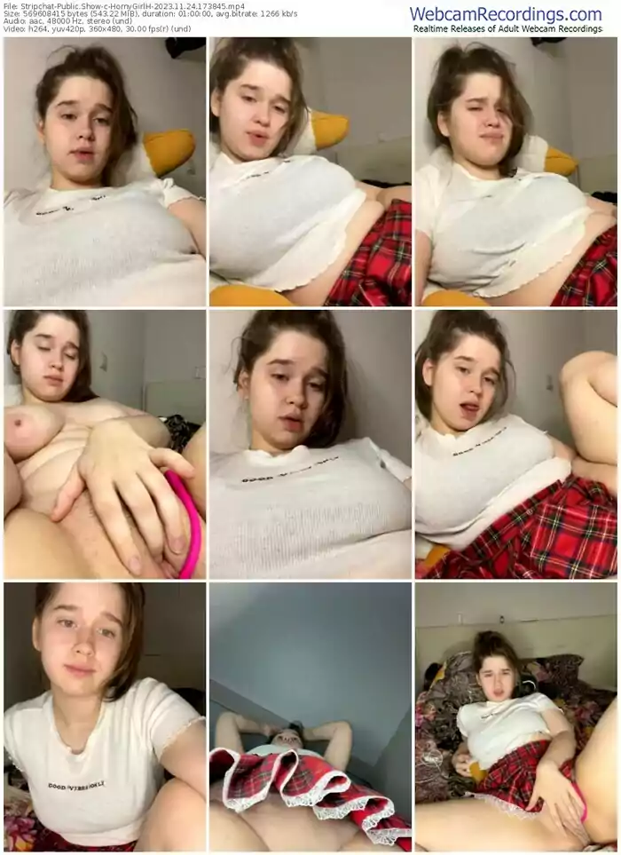 stripchat-hornygirlh-11-24-2023-17-38-45