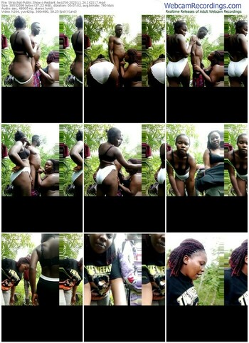 stripchat-rediant_two256-11-24-2023-14-21-17