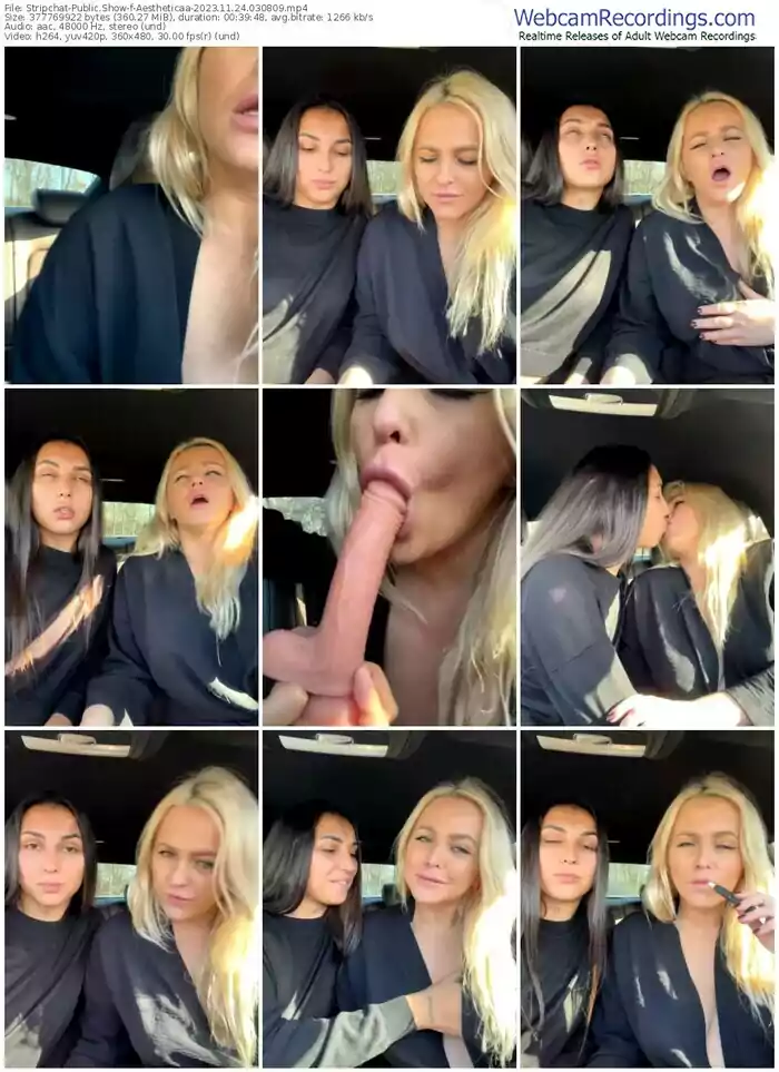 stripchat-aestheticaa-11-24-2023-03-08-09
