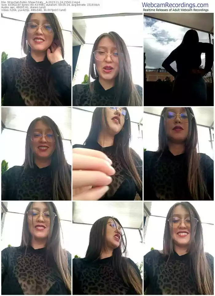 stripchat-katy__a-11-24-2023-15-50-12