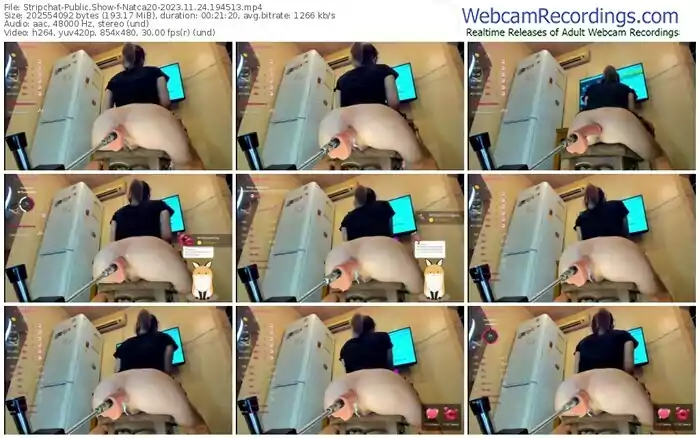 stripchat-natca20-11-24-2023-19-45-13