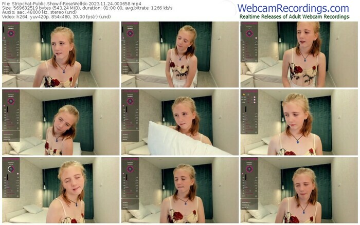 stripchat-rosewellsk-11-24-2023-00-06-58
