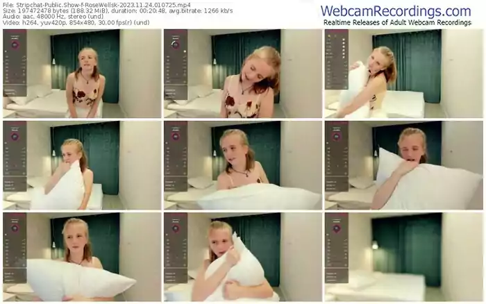 stripchat-rosewellsk-11-24-2023-01-07-25